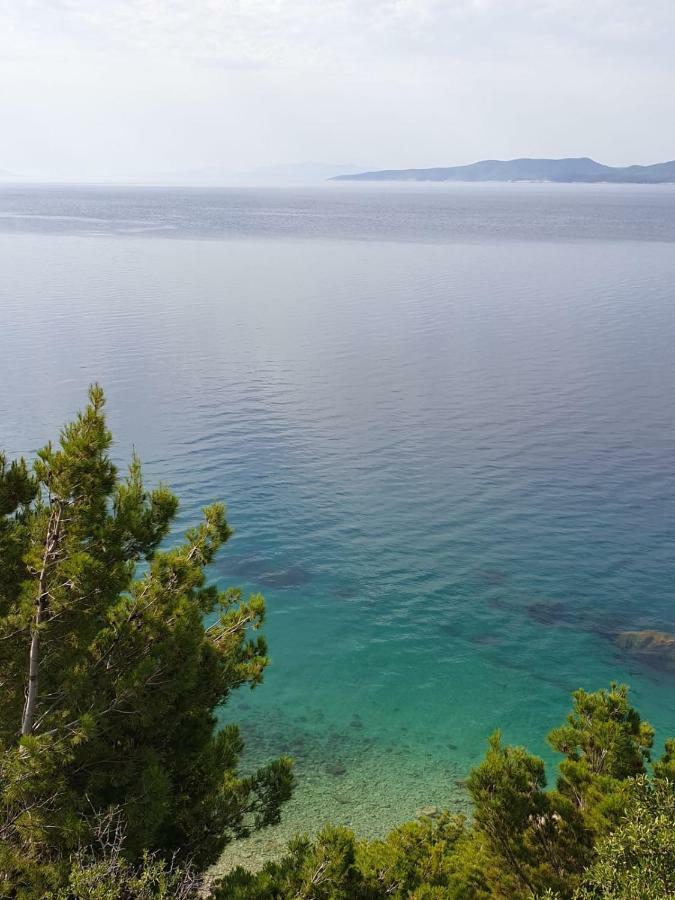 Hippocampus Apartments Mimice Εξωτερικό φωτογραφία
