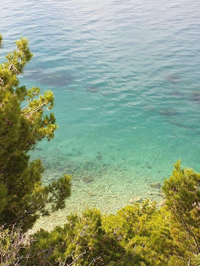 Hippocampus Apartments Mimice Εξωτερικό φωτογραφία